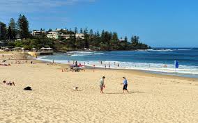 images 3 - digital marketing sunshine coast