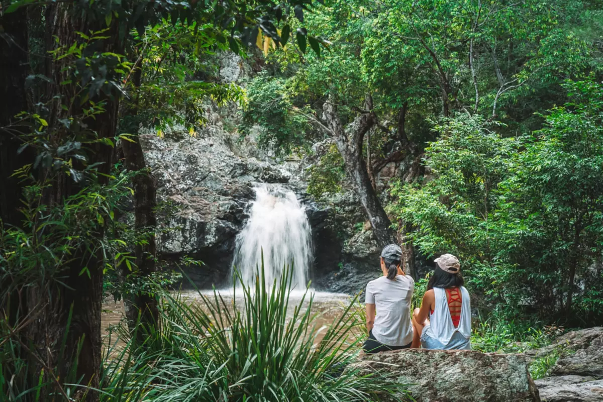 2020 SC KondalillaFalls NaturalLandscapes jesselindemann 141218 - digital marketing sunshine coast